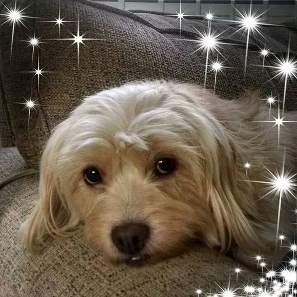 Meet your Posher, Jackie - Picture 1 of 1